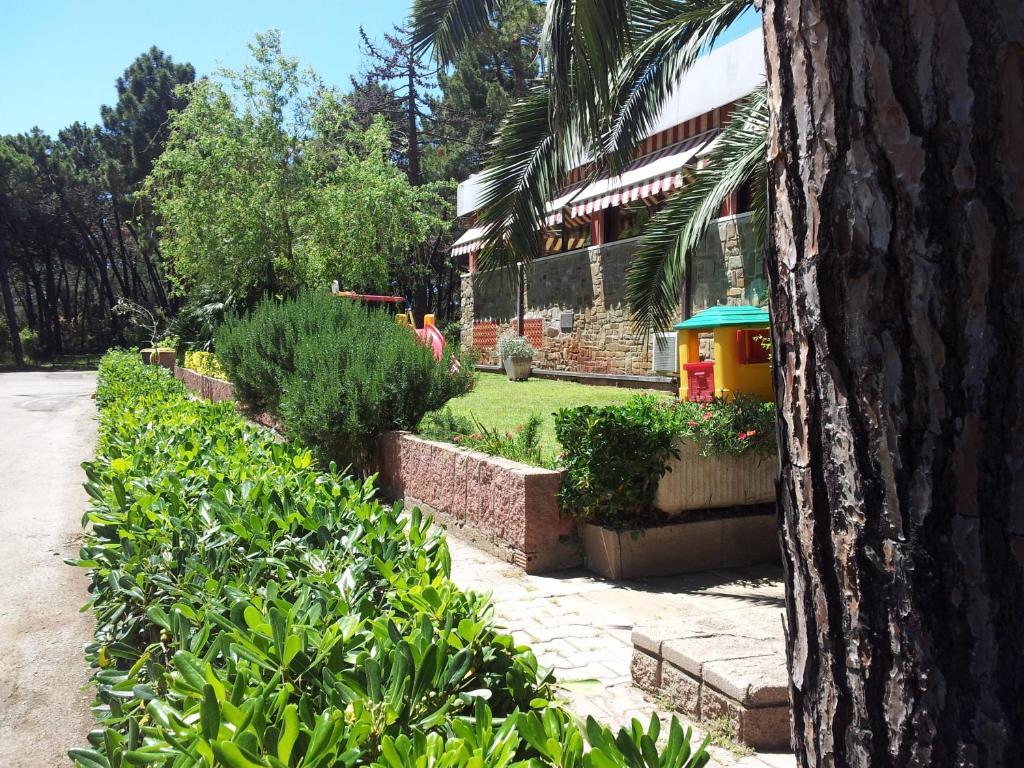 Hotel Grifone برانسيبينا أو ماري المظهر الخارجي الصورة